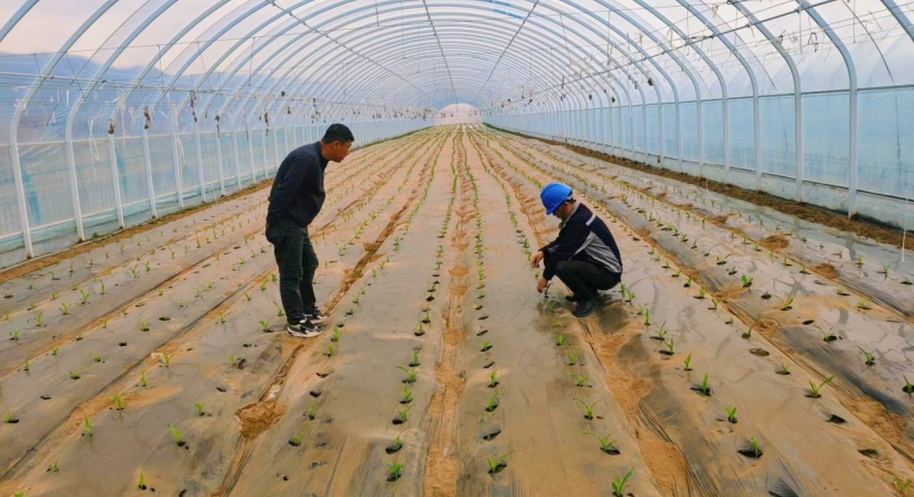 1714033598097055515.png 微信截图_20240424220310.png