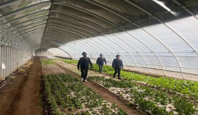 1714033762183074159.png image.png